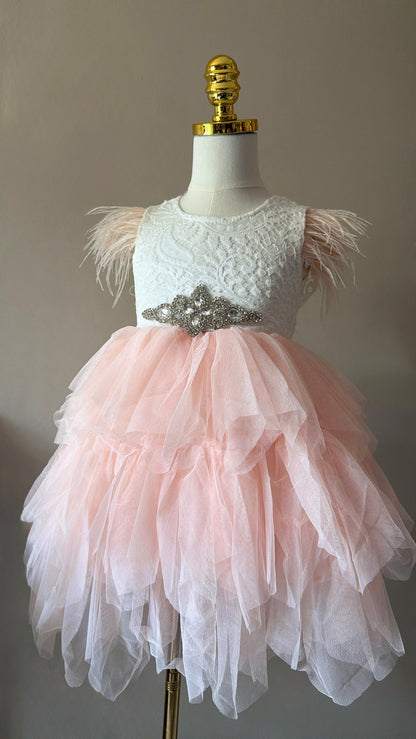 Blush Pink Feather Dress