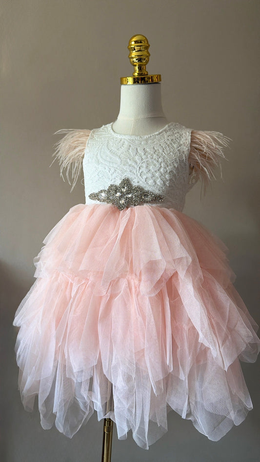 Blush Pink Feather Dress